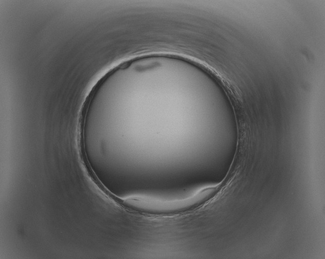 X0000116551518200912241545