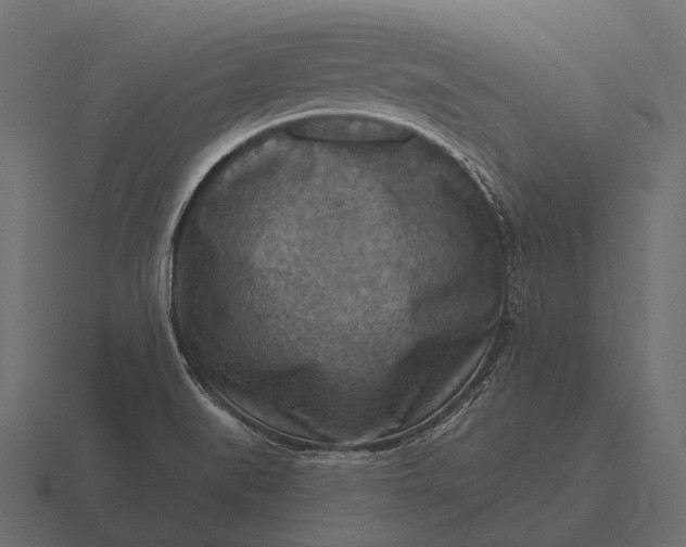 X0000116551519200912241545