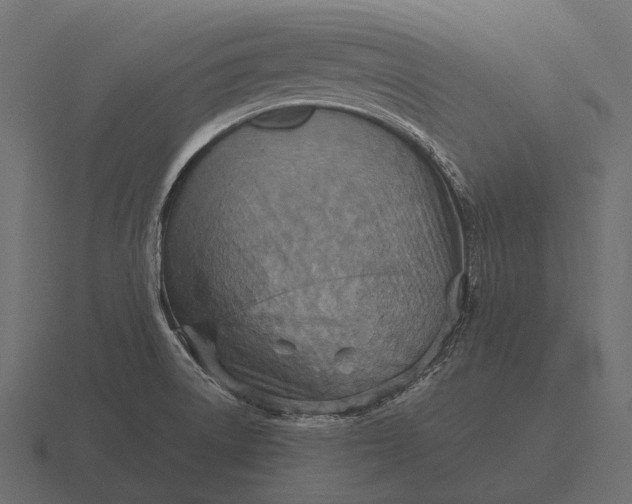 X0000116551522200912241545