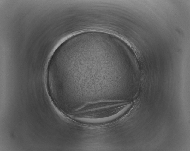 X0000116551523200912241545