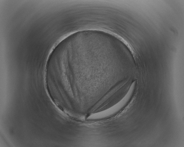 X0000116551525200912241545