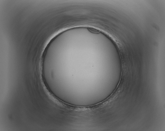 X0000116551526200912241545