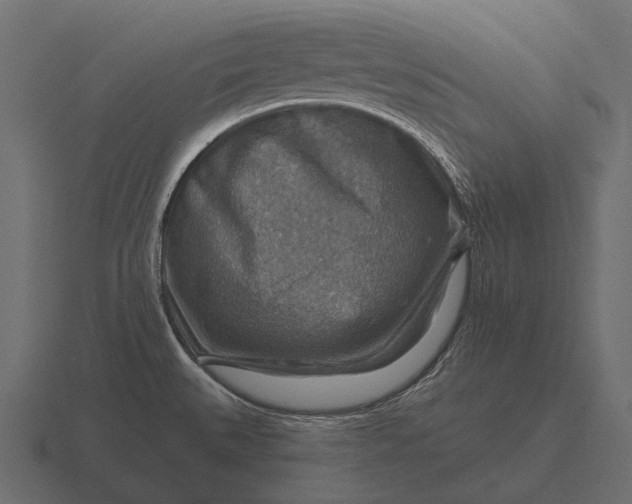 X0000116551527200912241545