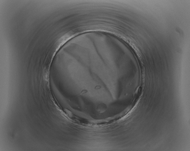 X0000116551529200912241545