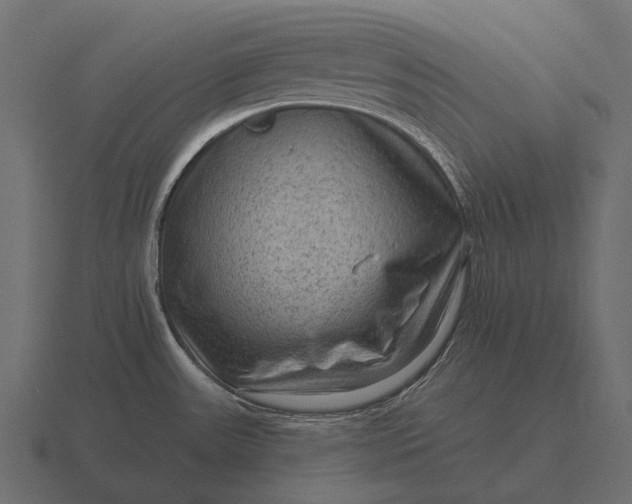 X0000116551531200912241545