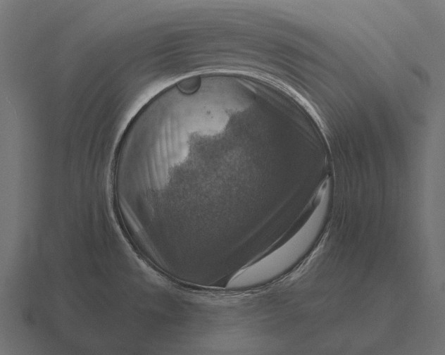 X0000116551533200912241545