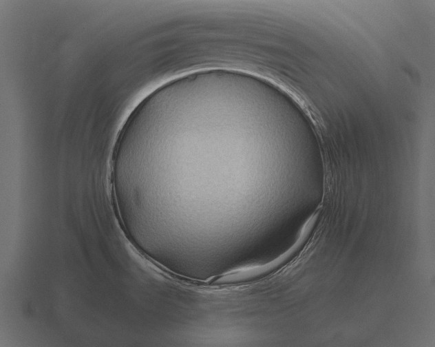 X0000116551535200912241545