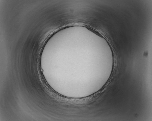 X0000116550001200912311921