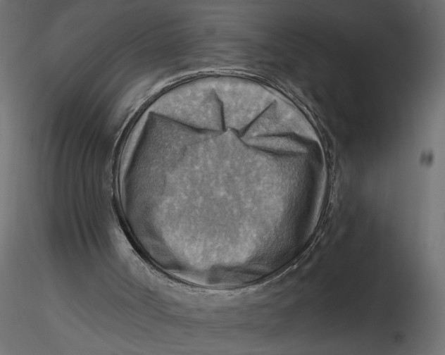 X0000116550002200912311921