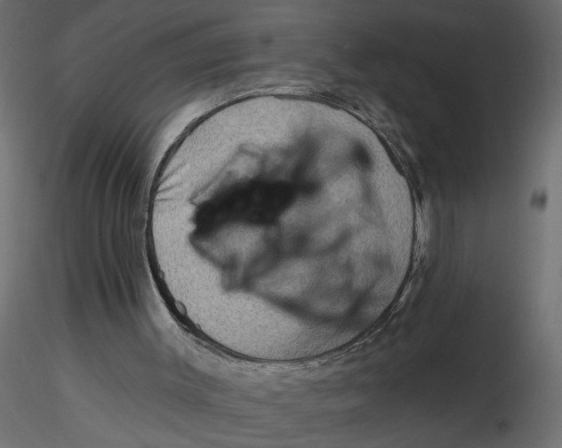 X0000116550003200912311921