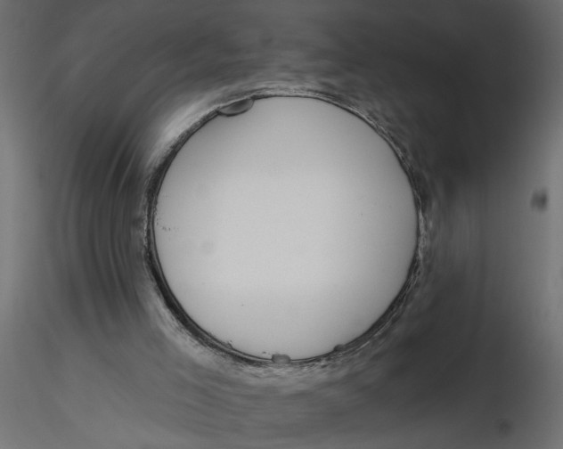 X0000116550005200912311921