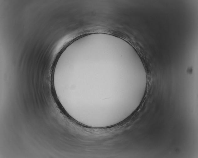 X0000116550006200912311921