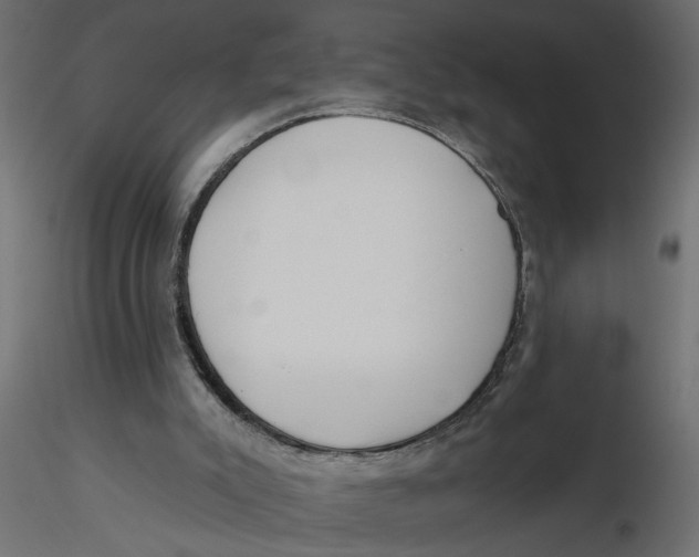 X0000116550007200912311921