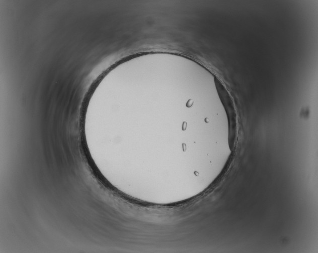 X0000116550008200912311921