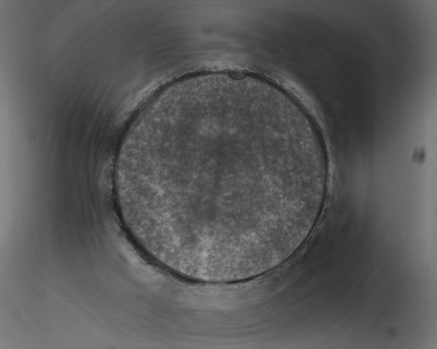 X0000116550009200912311921