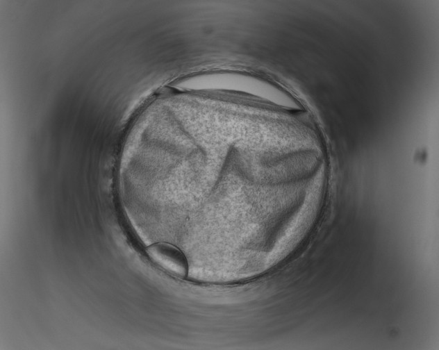 X0000116550010200912311921