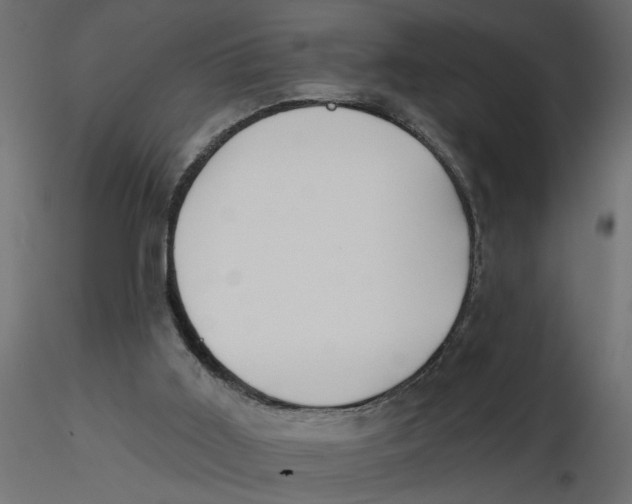 X0000116550011200912311921