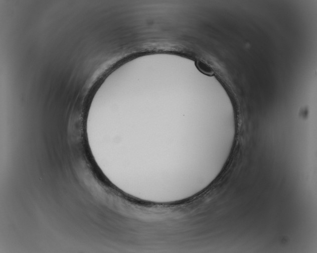 X0000116550012200912311921