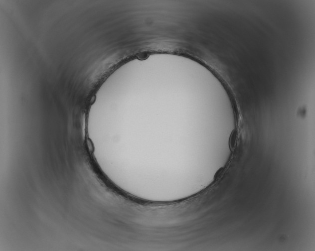 X0000116550013200912311921