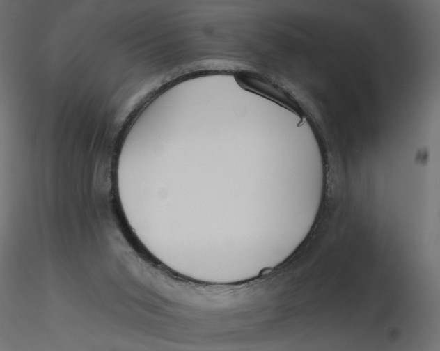 X0000116550015200912311921