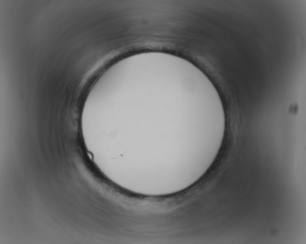 X0000116550016200912311921