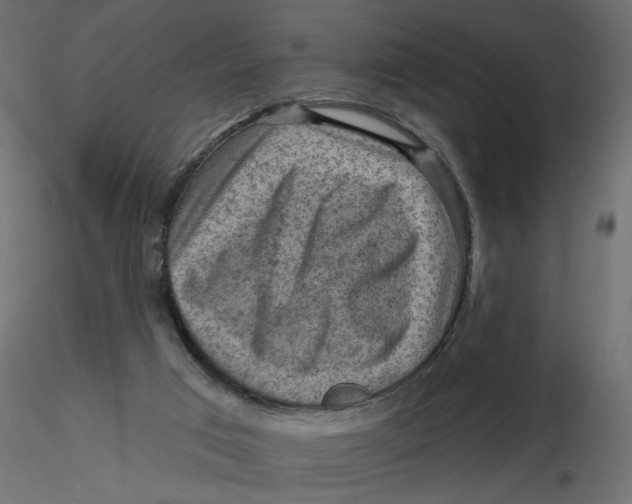 X0000116550017200912311921