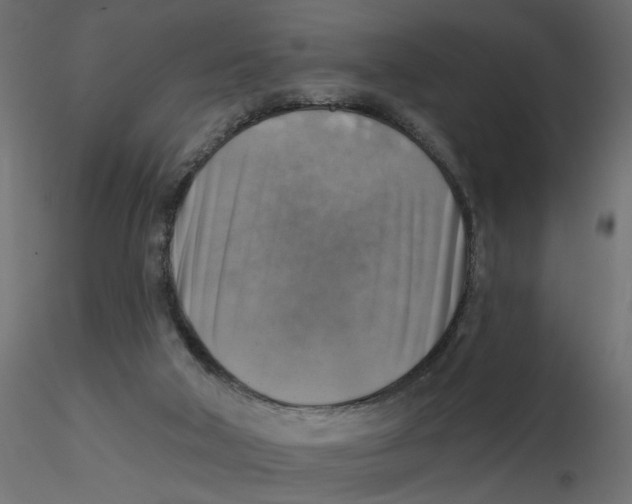 X0000116550018200912311921