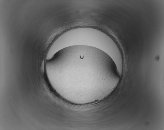 X0000116550019200912311921