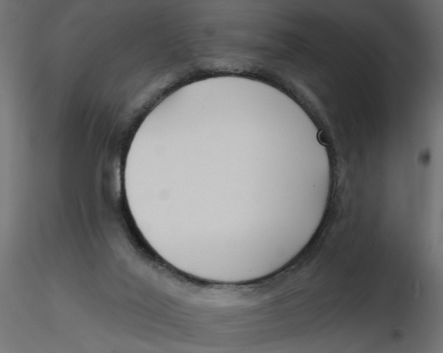 X0000116550020200912311921