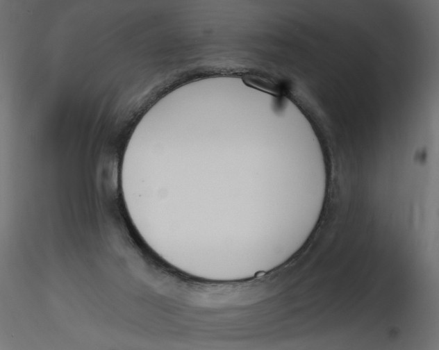 X0000116550021200912311921