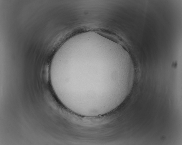 X0000116550022200912311921