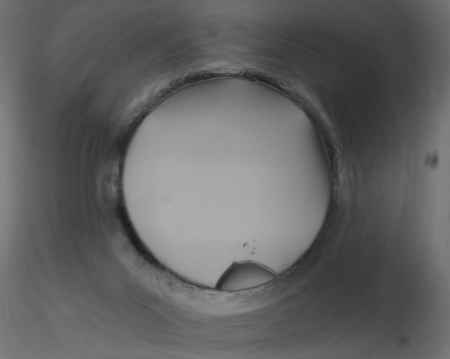 X0000116550023200912311921