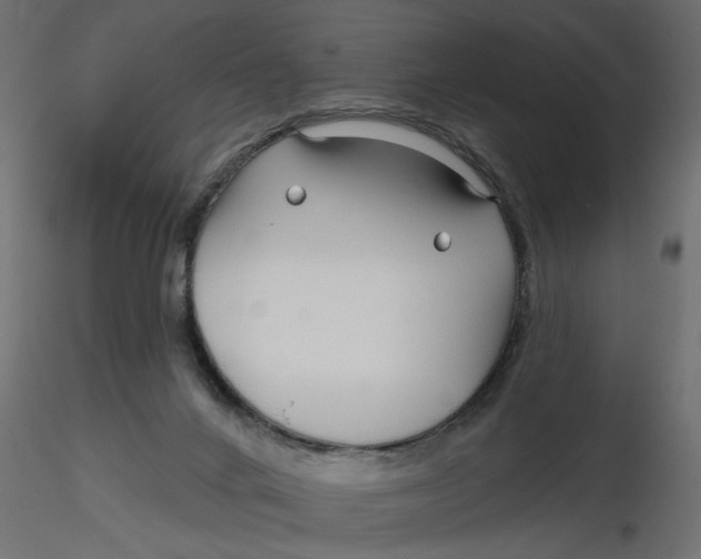 X0000116550024200912311921