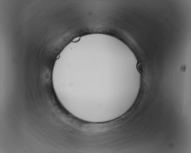 X0000116550025200912311921