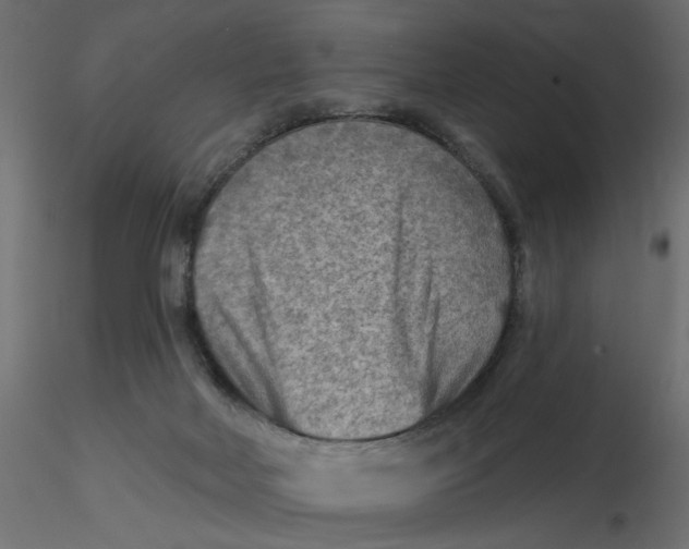 X0000116550026200912311921