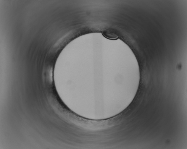 X0000116550027200912311921