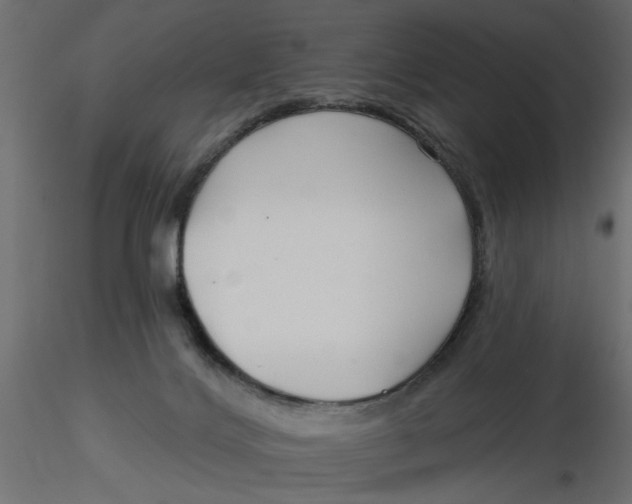 X0000116550028200912311921