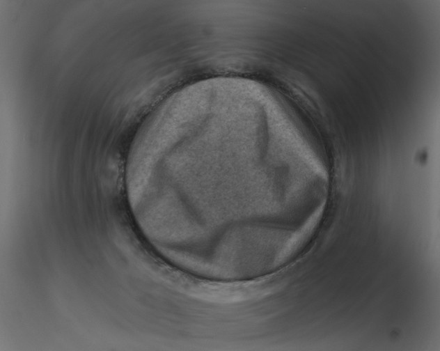 X0000116550029200912311921