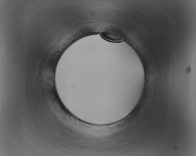 X0000116550031200912311921