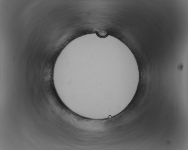 X0000116550032200912311921