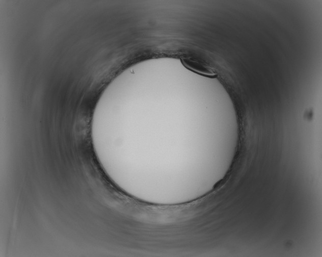 X0000116550033200912311921