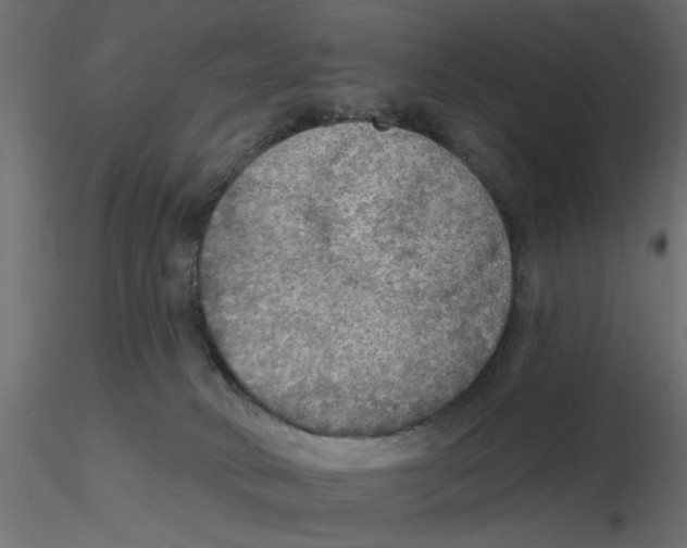 X0000116550034200912311921