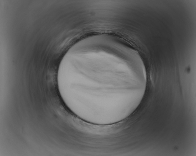 X0000116550035200912311921