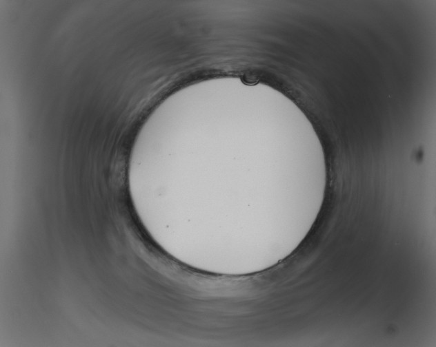 X0000116550036200912311921