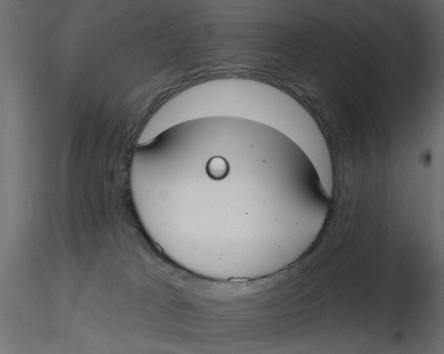 X0000116550037200912311921