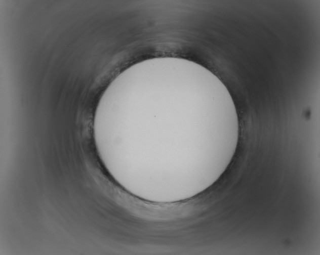 X0000116550038200912311921