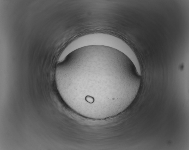 X0000116550039200912311921