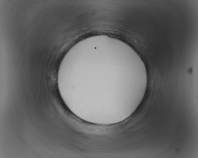 X0000116550040200912311921