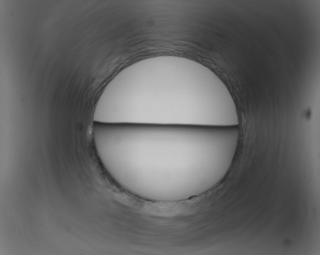 X0000116550041200912311921