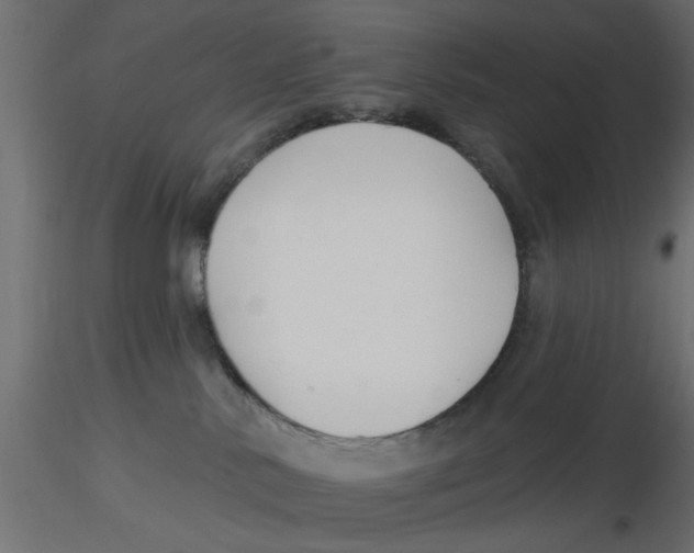 X0000116550042200912311921